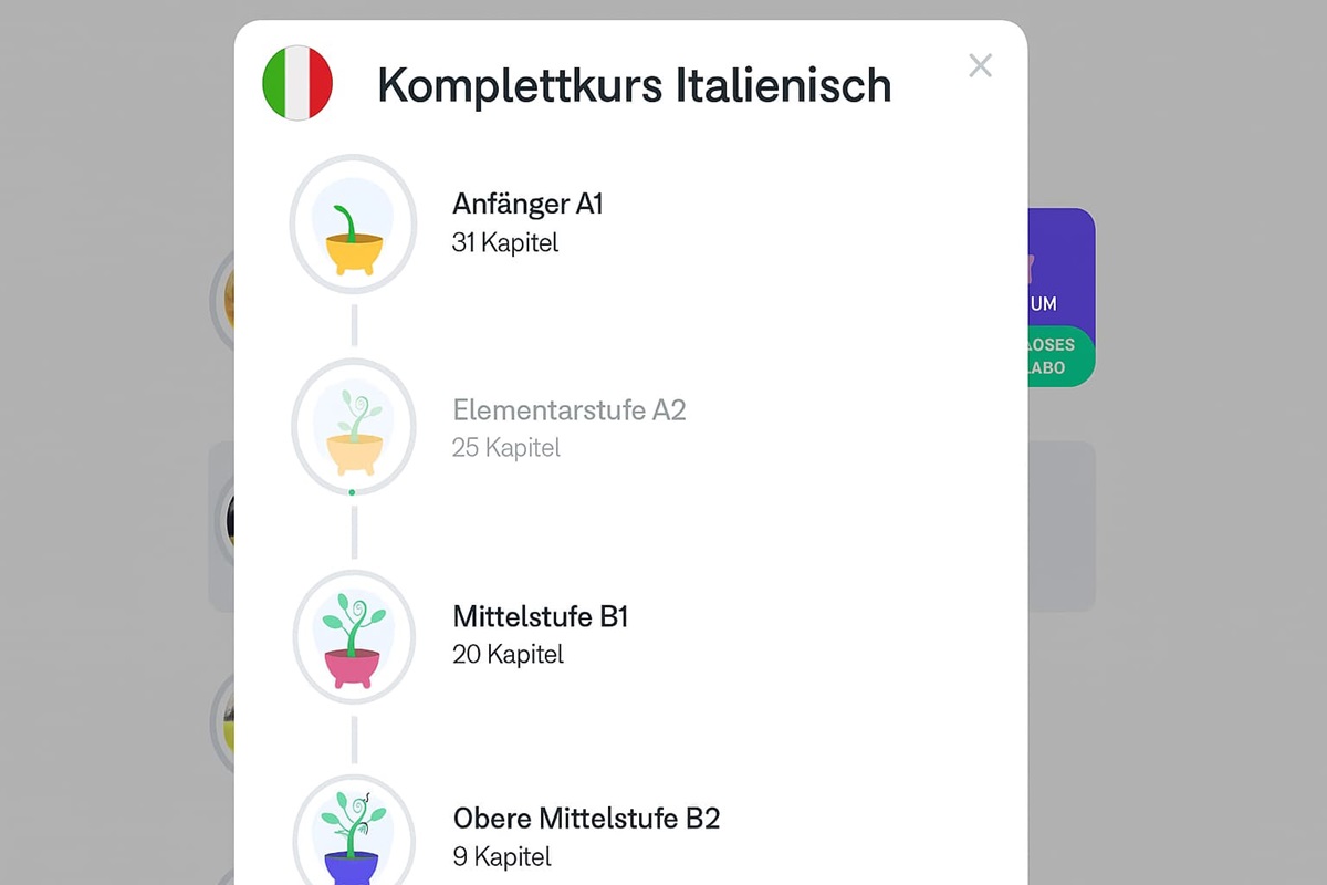 Busuu-Kurse sind in vier Hauptniveaus nach dem GER / CEFR strukturiert