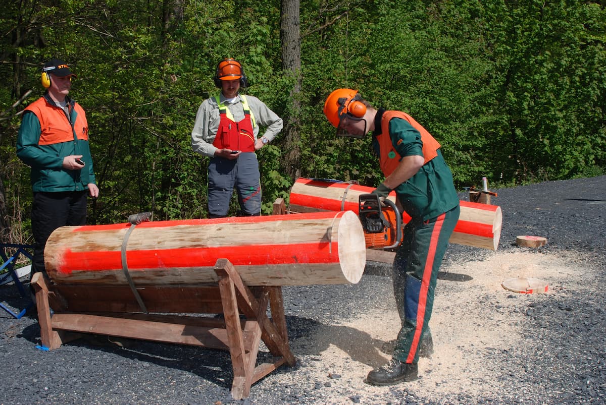 Ausbildung Forstwirt: Der Hüter des Waldes – Beruf, Gehalt und Karrierewege