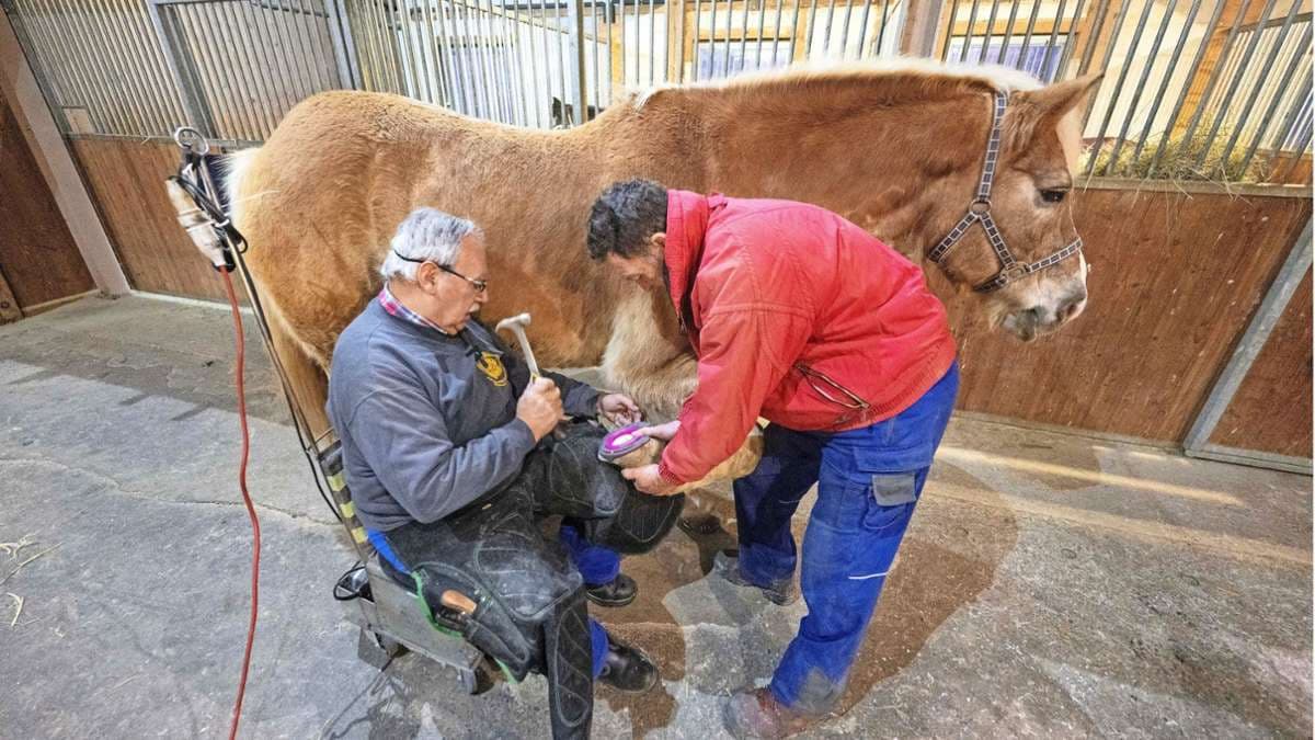 Hufschmied Ausbildung: Ihr Weg zum Experten für Pferdebesclag