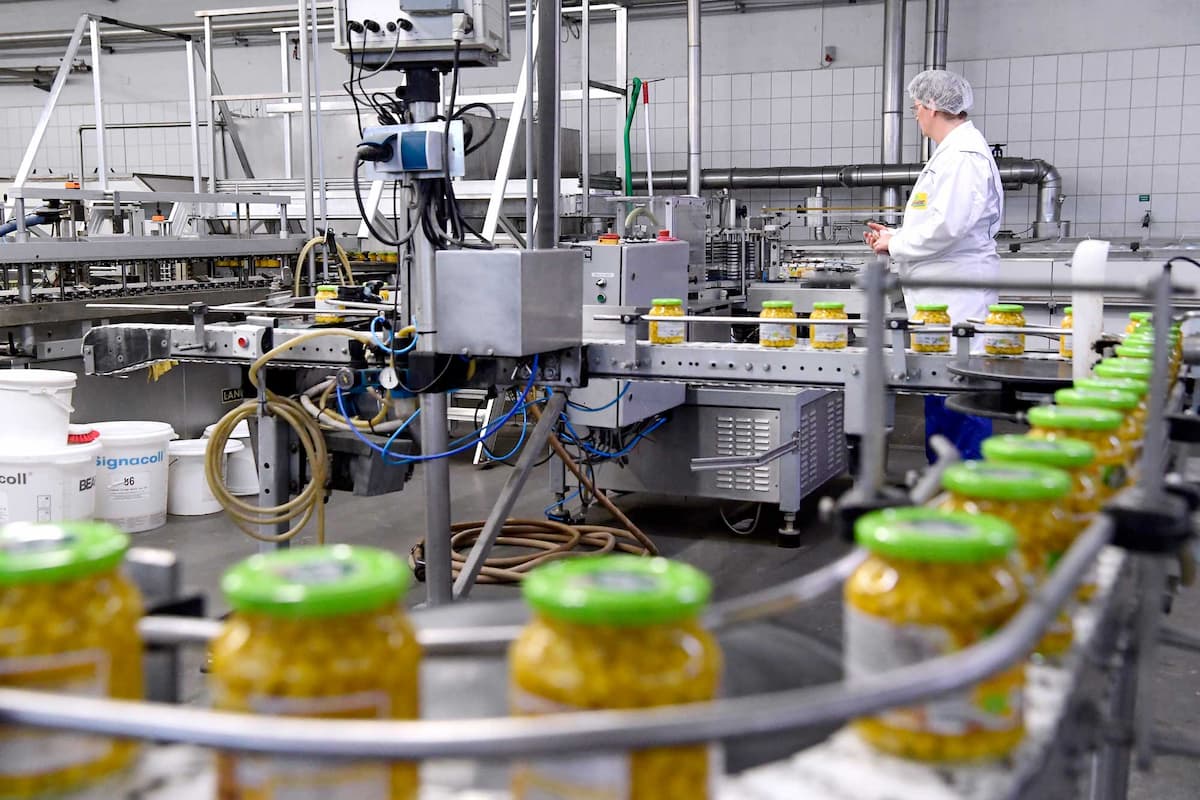 Lebensmitteltechniker Ausbildung: Dein Weg in die Zukunft der Ernährung