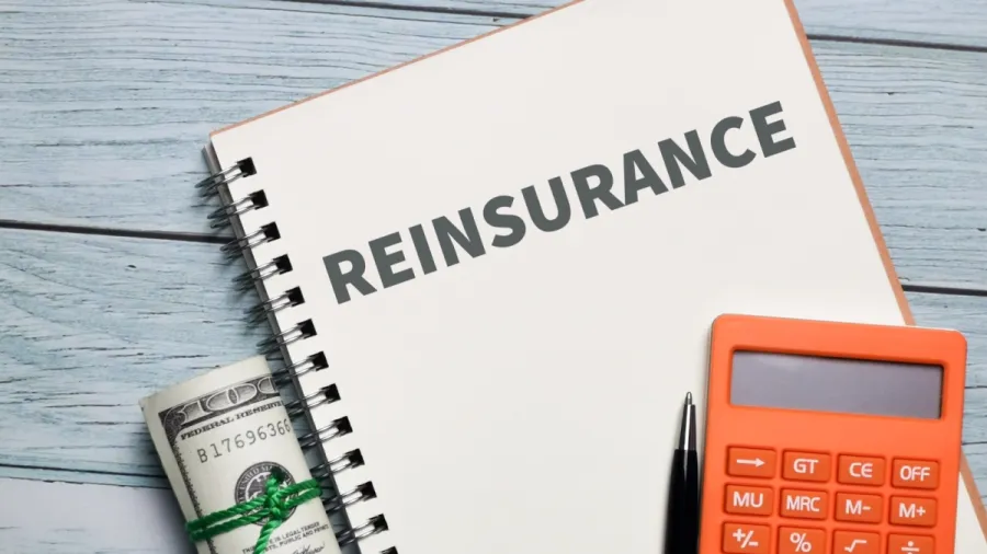 Record reinsurance capital cuts prices for insurers
