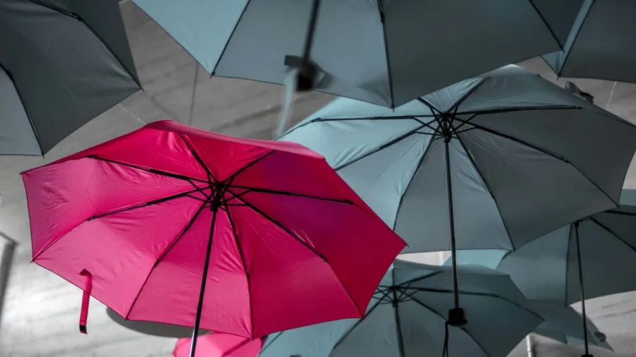 Japan Post Insurance shifts life risks to SCOR vehicle with partnership